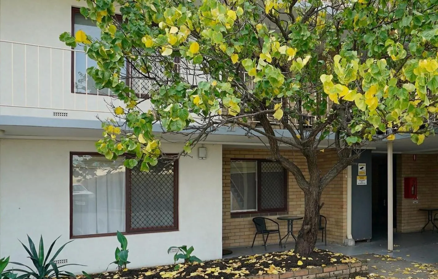 Lejlighed Rivervale Cosy Stunner Sleeps 2 Perth